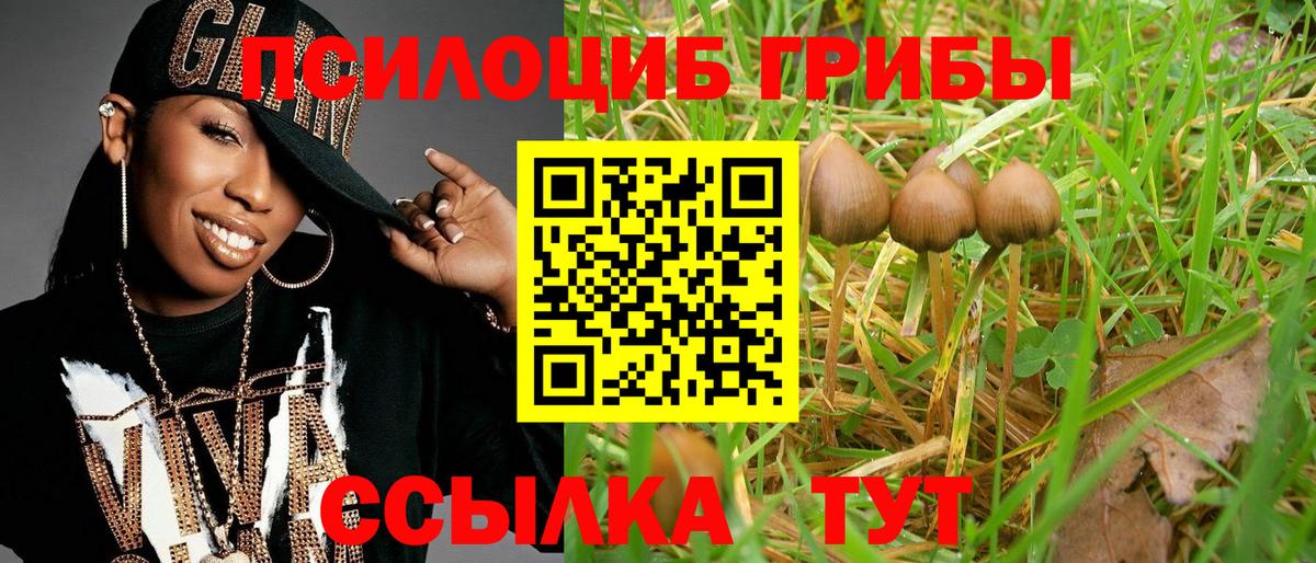Галлюциногенные грибы мухоморы Новороссийск