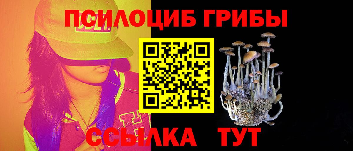 Галлюциногенные грибы Psilocybine cubensis  Вход с VPN  Новороссийск  Галлюциногенные грибы мицелий 